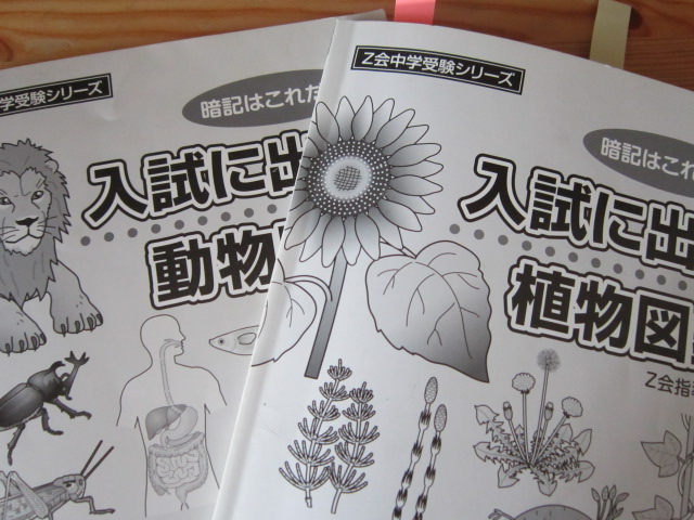 植物分野対策の秘密兵器 カラーでわかりやすい 入試に出る植物図鑑 動物図鑑 あそびまなびソース